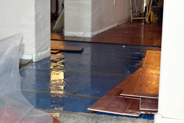 Professional Basement Flood Cleanup technician working in Chickasaw, AL